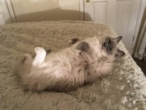 He's Just so Gorgeous!