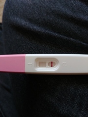 TTC after recurrent miscarriage thread 2 - we're not giving up