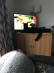 I have put thetelly on for Colin to get some peace