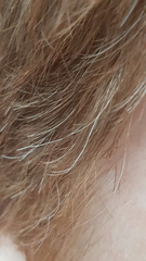 WIBU re. GINGER hair?
