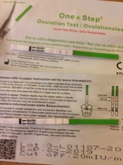 Have I ovulated on cd6?