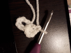 Crochet Beginner for Woolly Hug