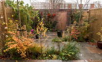 Please show me your small terrace house garden