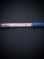 Ovulation strip - Is this a line?