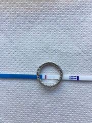 Feb Bus! Fingers crossed