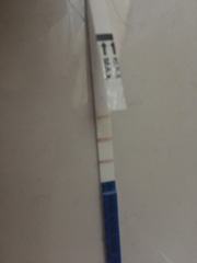 Period type cramping in early pregnancy