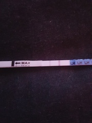 Is this a positive ovulation strip?