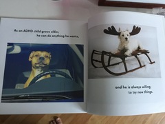 Books about ASD/ADHD for kids