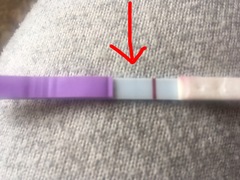 Is this an evap?