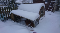 Money Saving Marches on....frugal living, friendly chat, no judgment