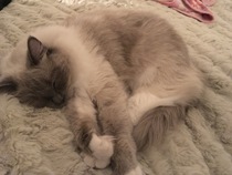 He's Just so Gorgeous!
