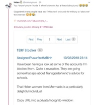 This is what Helen from Mermaids writes about MN feminist posters