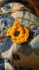 Crochet Beginner for Woolly Hug