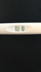 Abortion on the 17/1 and positive pregnancy test?