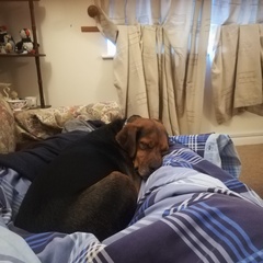 Woolly Hugs. A Blanket for 84CharingCrossRoad, lovely folk, we need your help.