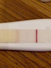 Feb Bus! Fingers crossed
