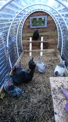 February Frugaleers United in Saving Money, Swapping Recipes & Supporting each other in finance, friendship & family life : )