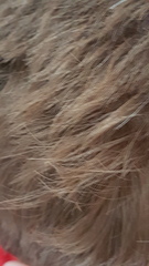 WIBU re. GINGER hair?