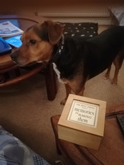 Woolly Hugs. A Blanket for 84CharingCrossRoad, lovely folk, we need your help.