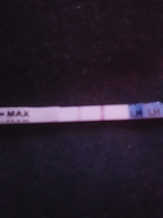 Is this a positive ovulation strip?