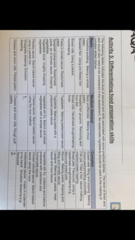 Food preparation and nutrition GSCE - and being vegetarian