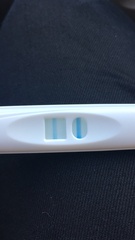 Abortion on the 17/1 and positive pregnancy test?