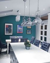 Totally overwhelmed with new kitchen decisions.... help appreciated