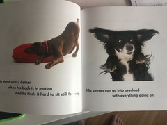 Books about ASD/ADHD for kids