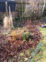 Clearing the garden