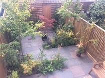 Clearing the garden