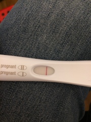 Feb Bus! Fingers crossed