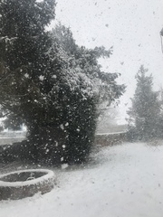 Snow watch part 3 Feb/March 2018