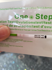 Ovulation after MC