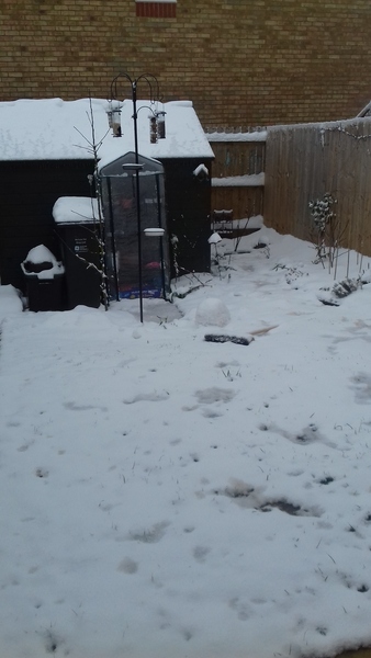 March Frugaleers continued. In which we report spends, share money saving advice, chat about pretty much everything and post pet pics.