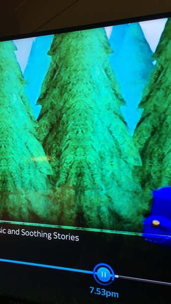 TO ask what you can see in this picture?