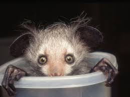 Biological SEX MATTERS. How many mumsnetters say "aye" to this campaign?