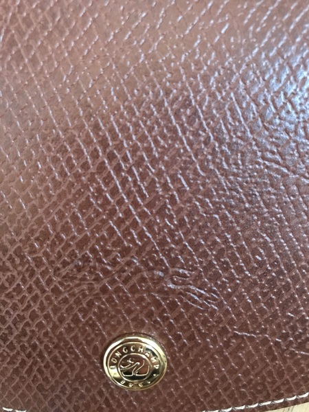 Any Longchamp Le Pilage owners?
