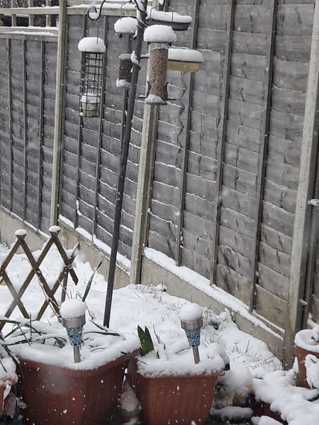 Snow and Ice watch - March 2018