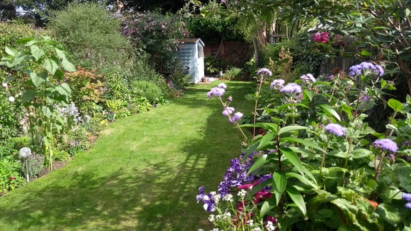 Please show me your small terrace house garden