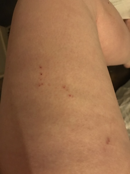 What could this be? (Picture)