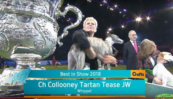 Crufts