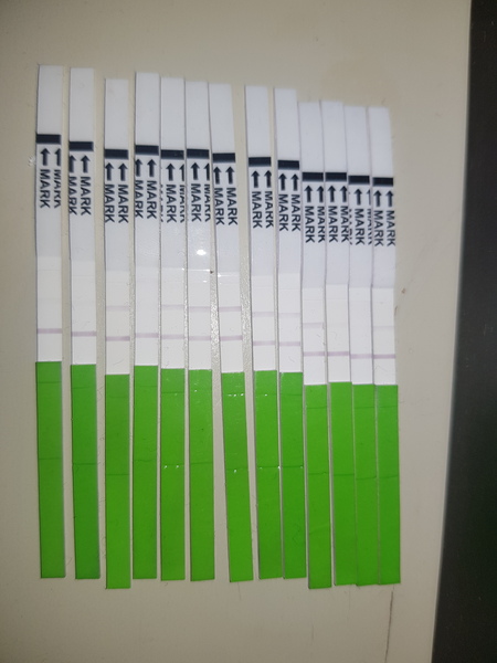 TTC after pregnancy loss - Thread 18: Christmas cake for Christmas babies