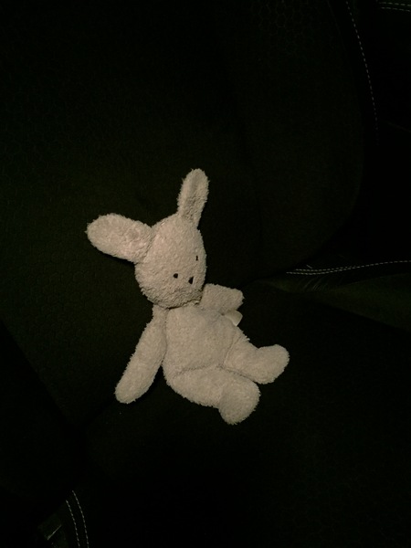 Please help us find Eggy!