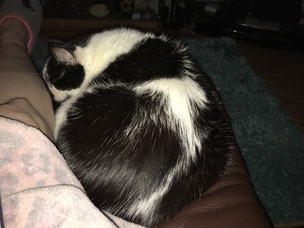 Harry's Results