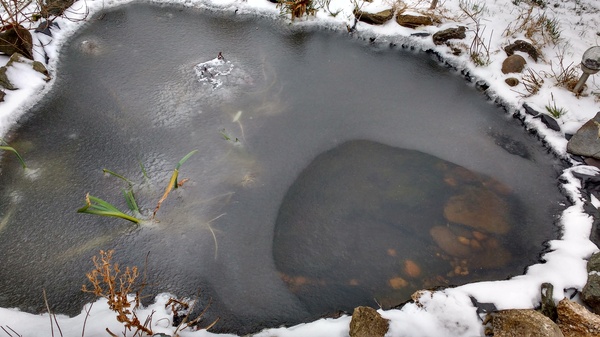 Snow and Ice watch - March 2018