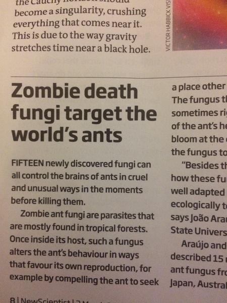To as what magazines you read