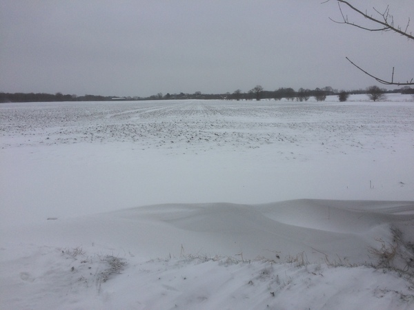 Snow watch part 4 - March is supposed to be spring right?