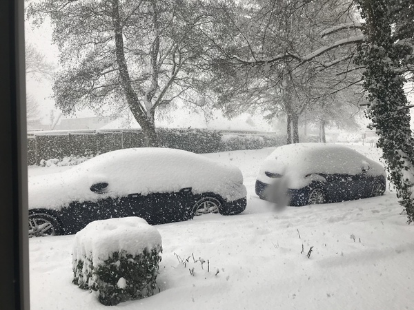 To be refusing to travel in the snow tomorrow?