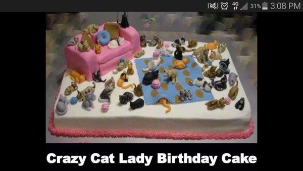 19 cats. Anyone else got this many?