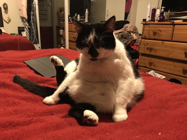 Harry's Results